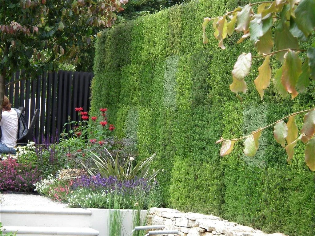 Heathers in harmony   for the bees 2